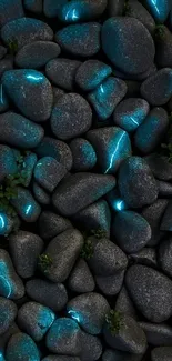 Stones with blue glow and greenery on dark background.