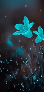 Teal glowing flowers with dark background, creating a serene and captivating phone wallpaper.