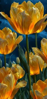 Glowing orange tulips at night with a starry backdrop.