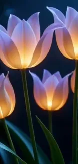 Glowing tulips with a blue night background