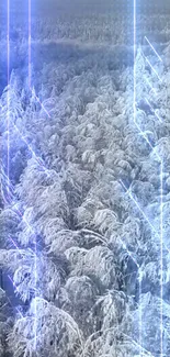 Snow-covered forest with glowing blue light beams.