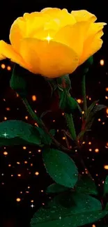 Stunning yellow rose with sparkles on a dark background.