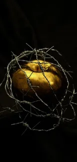 Golden apple wrapped in barbed wire on dark fabric background.