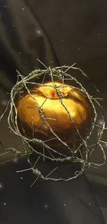 Golden apple wrapped in barbed wire on a dark background.