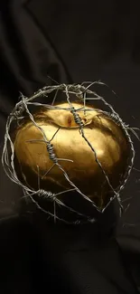 Golden apple entwined with barbed wire on dark background.