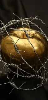 Golden apple wrapped in barbed wire on dark background wallpaper.