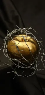 Golden apple wrapped in barbed wire on dark fabric, symbolizing contrasting themes.