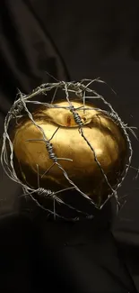 Golden apple wrapped in barbed wire on black background.