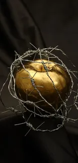 Golden apple with barbed wire on dark fabric background.