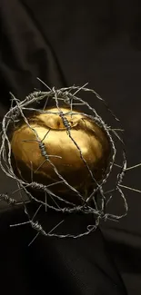 Golden apple entangled in barbed wire on dark fabric background.