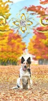 Dog sitting on autumn leaves with golden decorative elements.