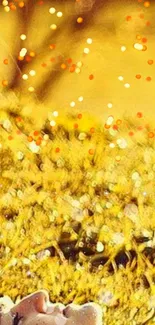 Golden field with bokeh lights mobile wallpaper.