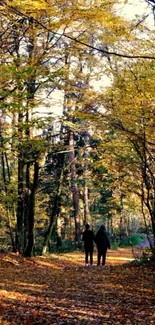 A serene forest path with golden autumn leaves and sunlight streaming through trees.