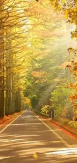 Sunlit autumn forest path with golden leaves.