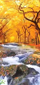 Golden forest scene with flowing stream in autumn.