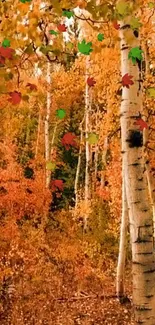 Golden autumn forest with birch trees and colorful leaves.