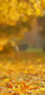 Golden autumn leaves covering ground in a serene park setting.