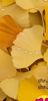 Yellow ginkgo leaves with water droplets mobile wallpaper.