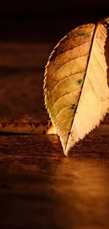 Golden autumn leaf on rustic wood surface wallpaper.