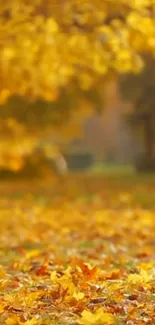 Golden autumn leaves on ground with blurry background, perfect for mobile wallpaper.