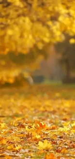 Golden autumn leaves covering a serene landscape in fall.