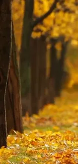 Autumn pathway covered with golden leaves under trees.