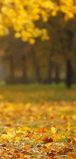 Peaceful autumn scene with golden foliage and a leafy path.