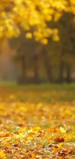 Golden autumn leaves on forest path wallpaper.