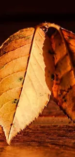 Golden brown autumn leaves on wooden surface.