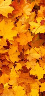 Mobile wallpaper with vibrant golden and orange autumn leaves.