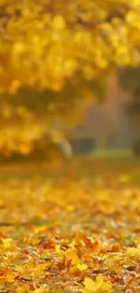 Golden autumn leaves cover the ground in a tranquil nature scene.