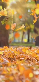 Golden autumn leaves falling in a sunlit park.