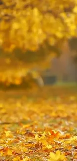 Golden autumn leaves cover a serene path.