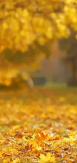 Golden autumn leaves on ground in a serene setting.