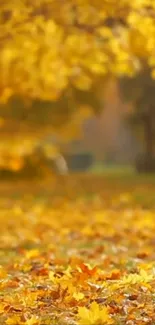 Golden autumn leaves carpet the ground in a serene fall scene.