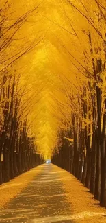 Golden autumn path lined with vibrant yellow trees.