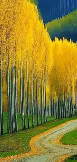 A winding path through a forest of golden autumn trees.