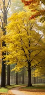 Golden yellow trees along a tranquil forest path in autumn.