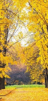 Golden autumn pathway with vibrant yellow leaves and serene natural beauty.