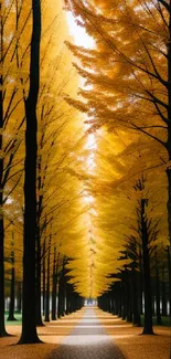 Golden autumn pathway with vibrant yellow trees.