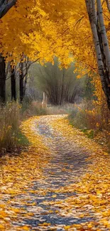 Beautiful autumn pathway with golden leaves and tall trees.