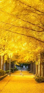 Golden autumn park pathway with yellow leaves and trees.