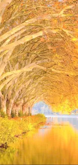 Golden autumn riverbank with orange foliage.