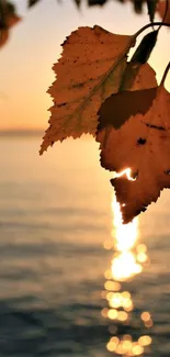 Golden sunset with autumn leaves reflecting on tranquil lake waters.