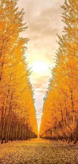 Pathway lined with vibrant yellow autumn trees under a golden sky.