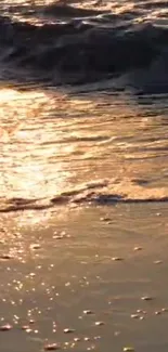 Golden sunset over ocean waves with beach reflections.