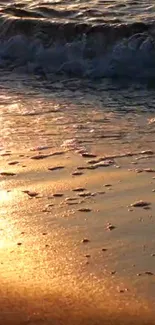 Golden sunset over a tranquil beach with gentle ocean waves.