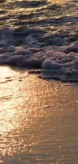 Golden tones of sunset waves on a sandy beach.