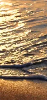 Golden beach waves during sunset, capturing serene ocean beauty.