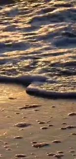 Golden waves gently washing over a serene beach during sunset.